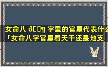 女命八 🐶 字里的官星代表什么「女命八字官星看天干还是地支 💮 」